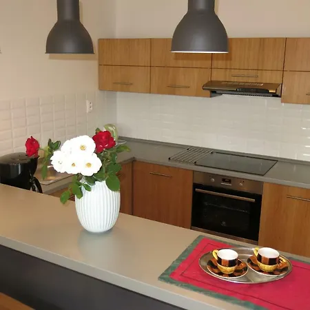 Scandic Apartmán